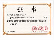 樂(lè )天世紀二期工程泰山杯