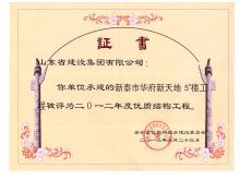 新泰華府5#優(yōu)質(zhì)結構工程