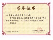 泰山國際A樓山東省建設工程優(yōu)質(zhì)結構杯